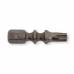 Біти Torsator 1/4'' TORX