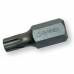 Біти 10 мм TORX