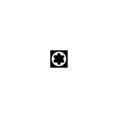 Біти 5/16'' TORX